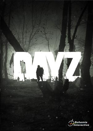 DayZ game server image
